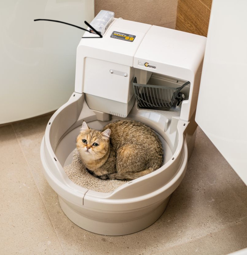 Kočičí toaleta - ekologická