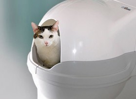 Záchod pro koťe